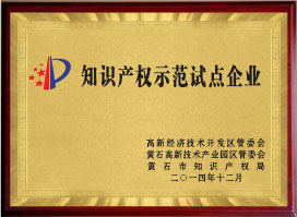 知識產權示范試點企業